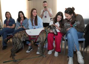 XXXVI Congreso Anual de la Asociación Estatal de Estudiantes de Enfermería en Palencia