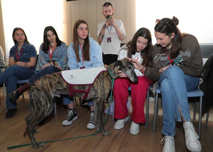 XXXVI Congreso Anual de la Asociación Estatal de Estudiantes de Enfermería en Palencia