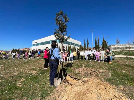 Escolares palentinos plantan 12 encinas en el entorno del Pabellón Mariano Haro con motivo del Día Mundial del Árbol