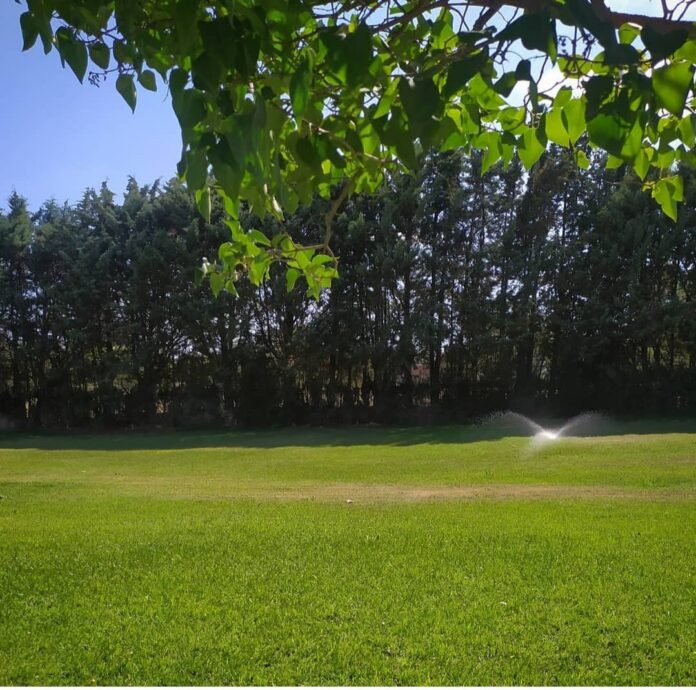 Jardinería Martín