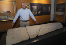 'La Poza', el yacimiento de la necrópolis con 977 tumbas. Museo de Palencia