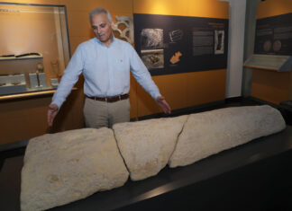 'La Poza', el yacimiento de la necrópolis con 977 tumbas. Museo de Palencia