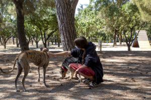 Explosión demográfica canina
