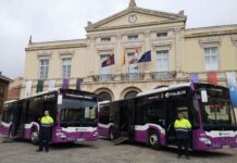 Palbús-hibrida-todos-sus-autobuses-'titulares'