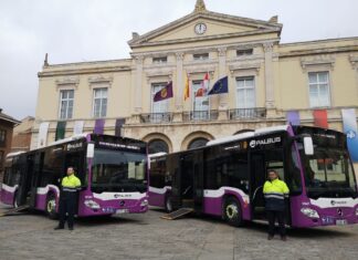 Palbús-hibrida-todos-sus-autobuses-'titulares'