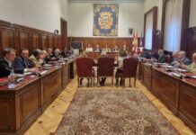 pleno diputación de palencia