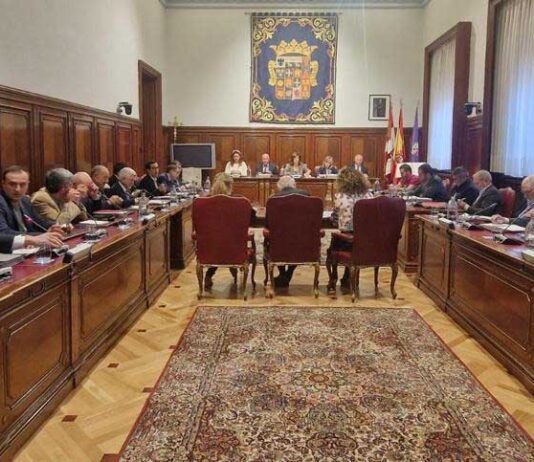 pleno diputación de palencia