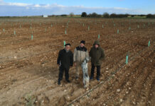 Trufas Cerrato
