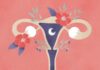kaizen ciclo menstrual