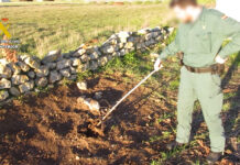 Guardia Civil criadero Meneses liebres
