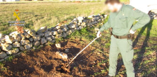 Guardia Civil criadero Meneses liebres