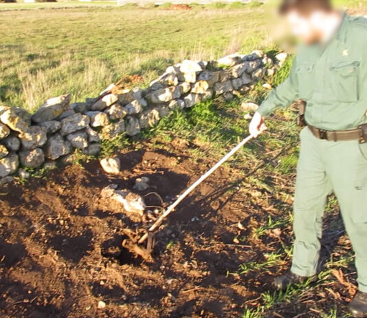 Guardia Civil criadero Meneses liebres
