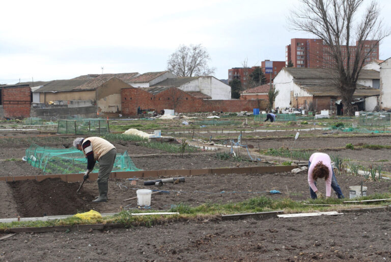Huertos urbanos de la tercera edad gestionados por Cruz Roja de Palencia