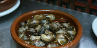 Caracoles