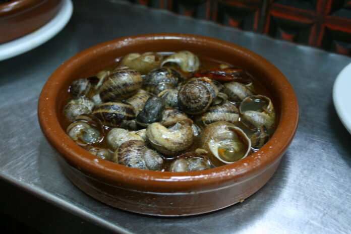 Caracoles