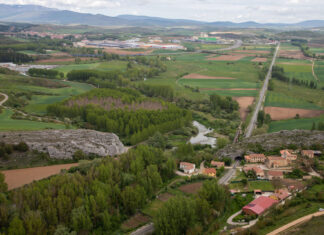 El-AVE-a-Cantabria-lejos-Tuerces-con-7-túneles-20-viaductos-parada-Aguilarcampoo