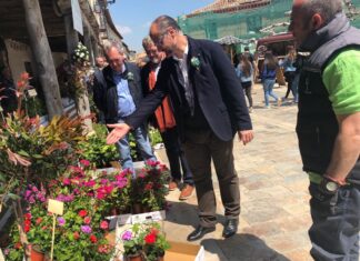 Ampudia mercado flor actividades