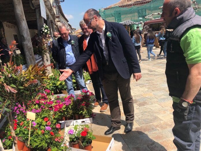 Ampudia mercado flor actividades