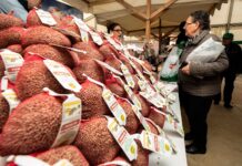 Imagen de archivo de una feria gastronómica con lenteja deTierra de Campos - R VALTERO ICAL