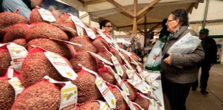 Imagen de archivo de una feria gastronómica con lenteja deTierra de Campos - R VALTERO ICAL
