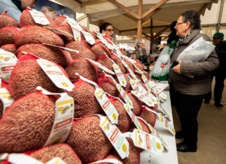 Imagen de archivo de una feria gastronómica con lenteja deTierra de Campos - R VALTERO ICAL