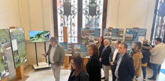 Voluntariado ambiental exposición