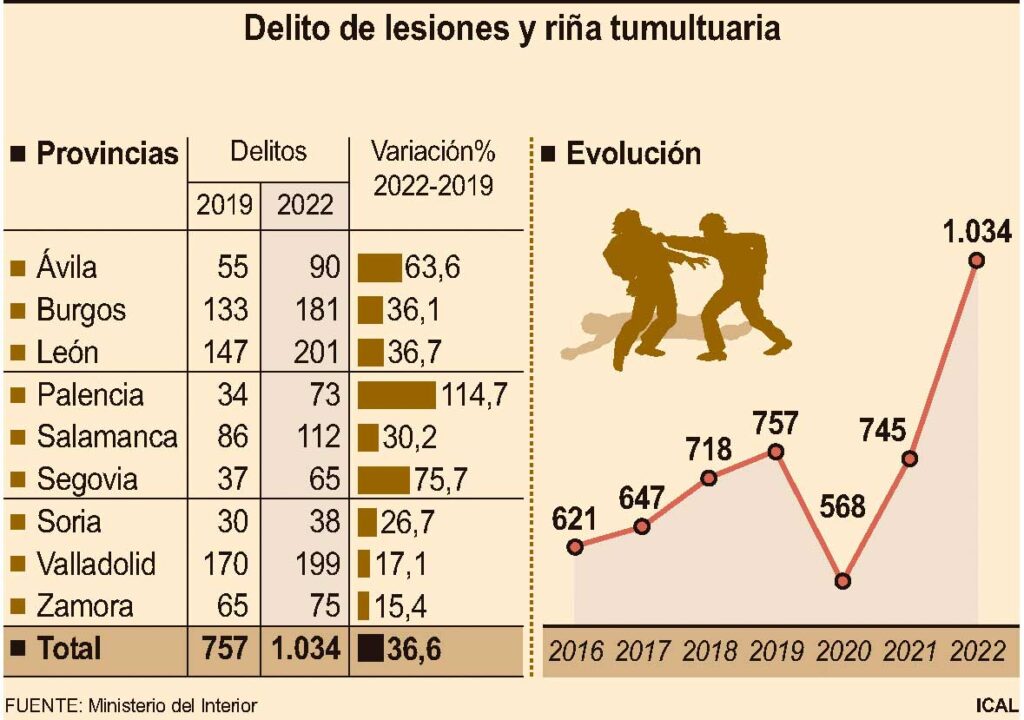 Delitos de lesiones y riña tumultuaria en Palencia y CyL