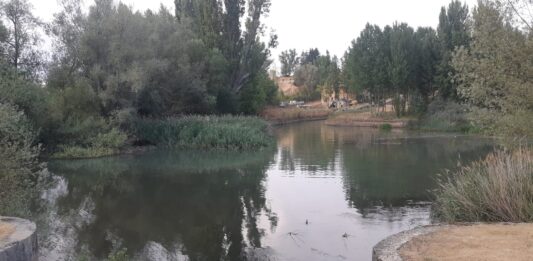 Diputación-logra-dos-planes-sostenibilidad-Turística-Enoturismo-Cerrato-Canal-Castilla