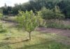 El-vial-junto-río-Carrión-inicia-'su-camino'-Palencia-a