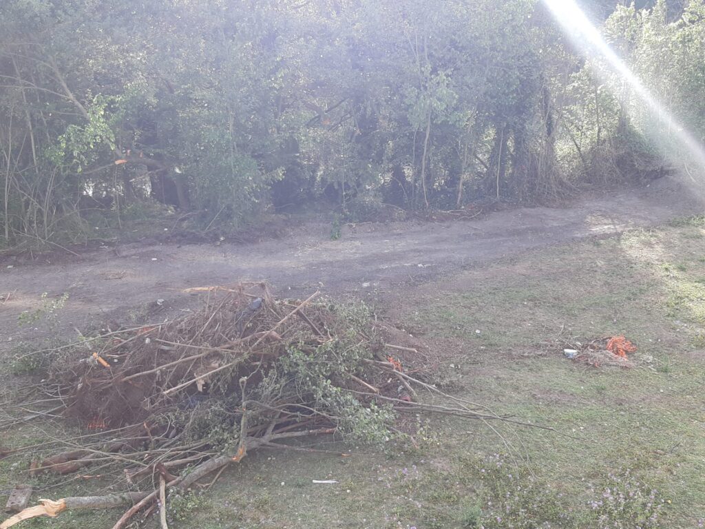 El-vial-junto-río-Carrión-inicia-'su-camino'-Palencia-a