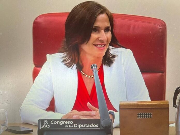 La-palentina-María-Luz-Martínez-Seijo- nueva-presidenta-Comisión-Constitucional-Congreso