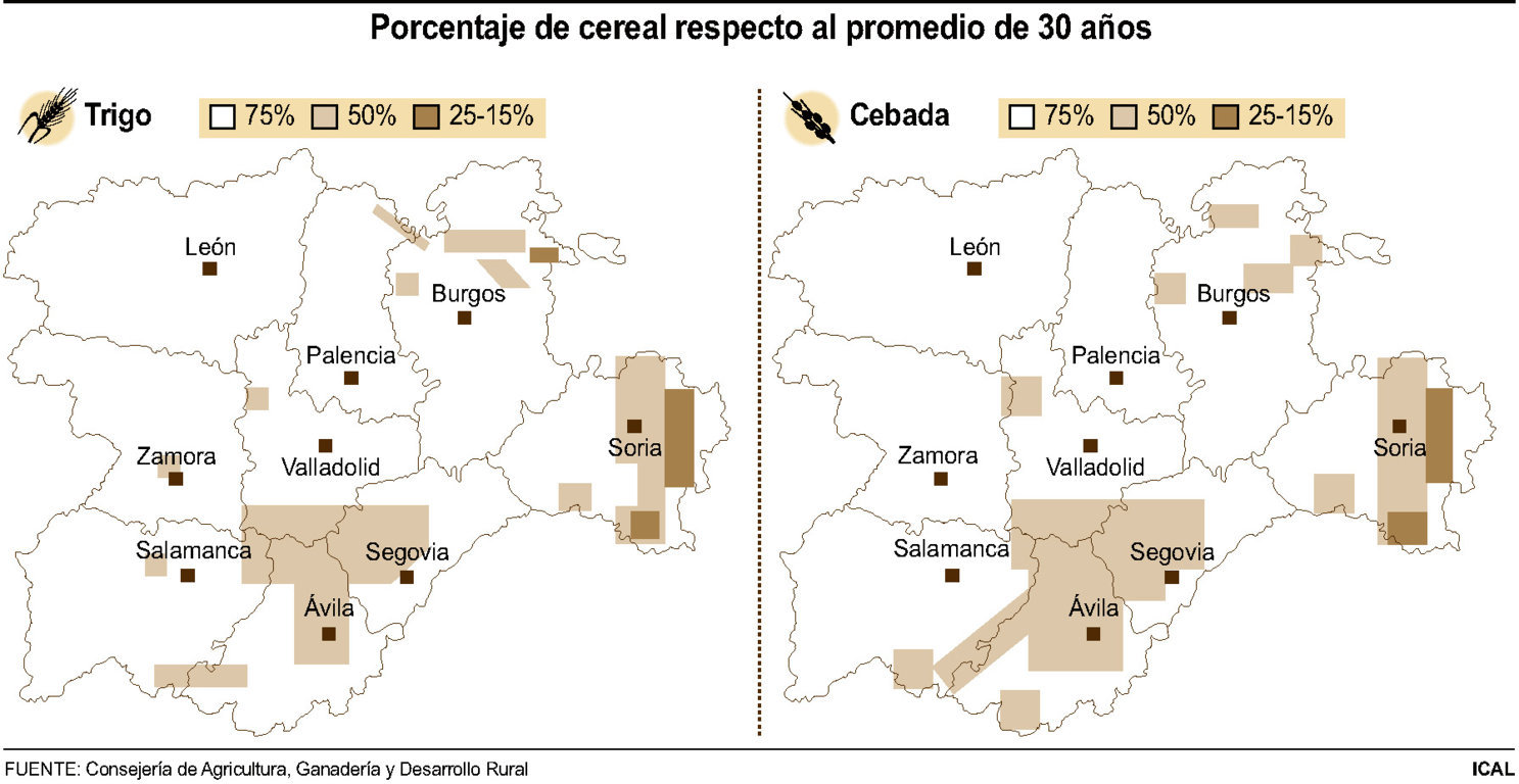 Porcentaje de cereal respecto al promedio de 30 años en Castilla y León