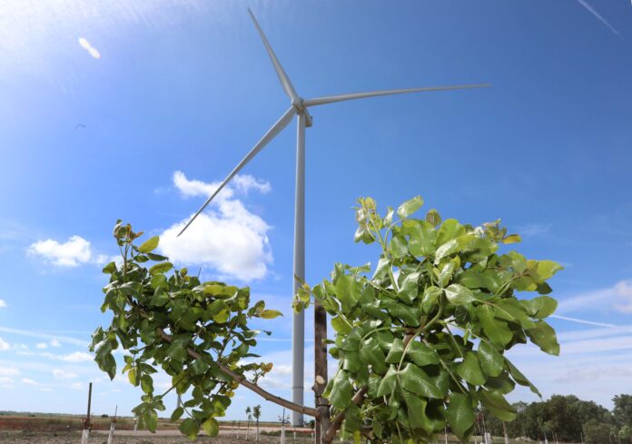 Autorizada la construcción de un módulo solar fotovoltaico de 52,5 megavatios para su hibridación con un parque eólico en Ampudia y Pedraza de Campos