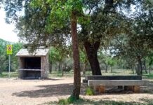 Barbacoa-y-merendero-Monte-El-Viejo