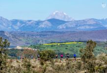 Circuito-Triatlón-Diputación-de-Palencia