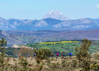 Circuito-Triatlón-Diputación-de-Palencia