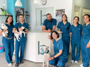 Clínica bigotes con gatos