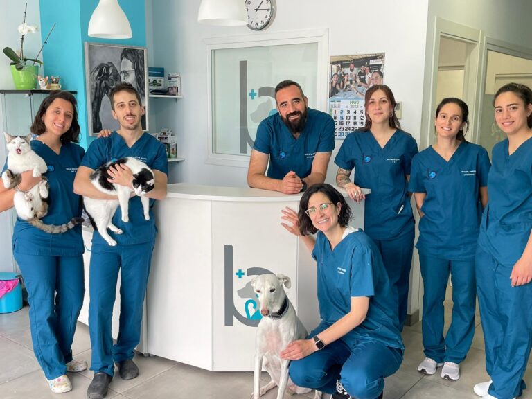 Clínica bigotes con gatos