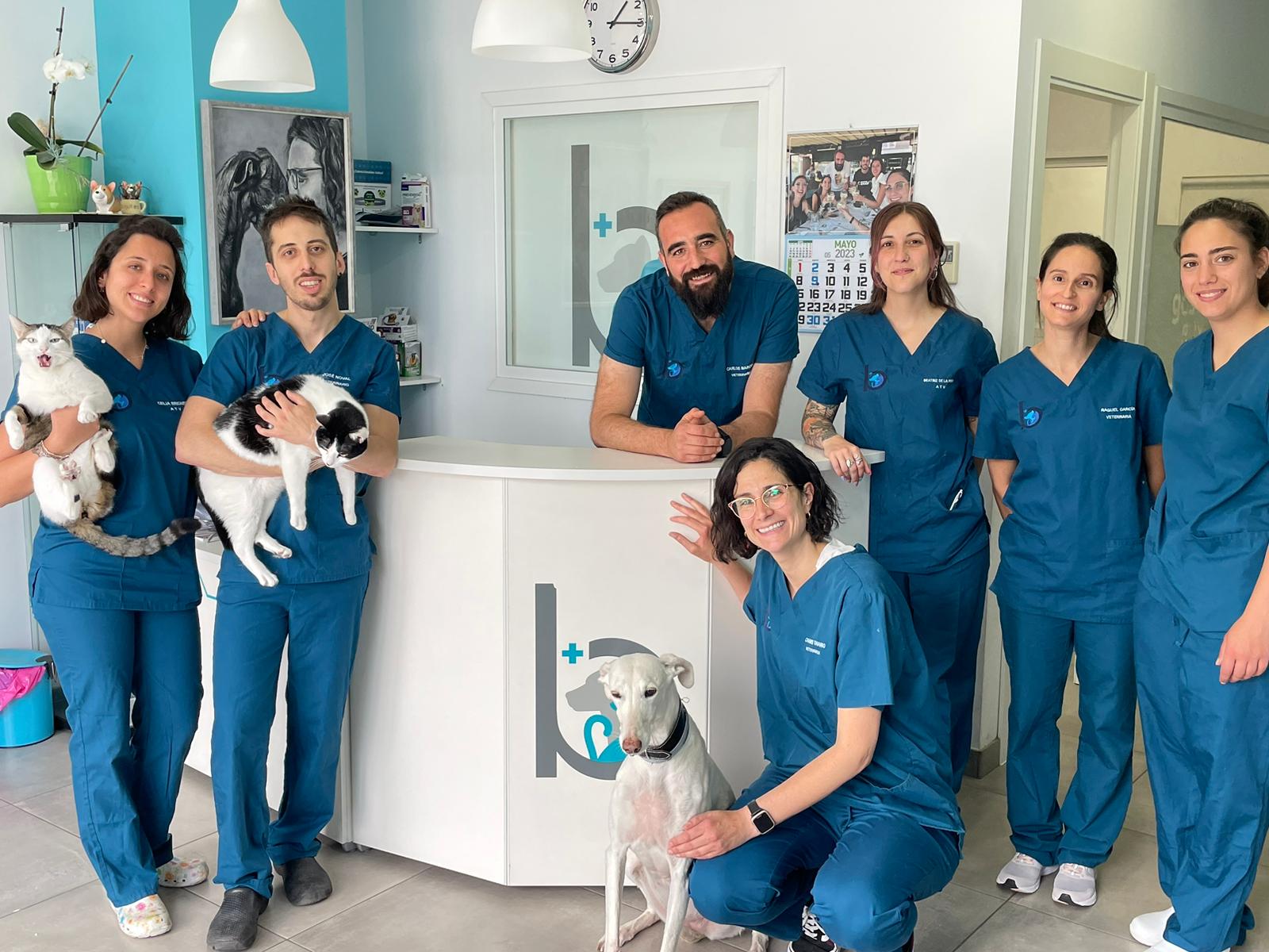 Clínica bigotes con gatos