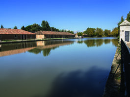 Dársena del Canal