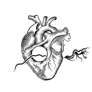 Donación de órganos