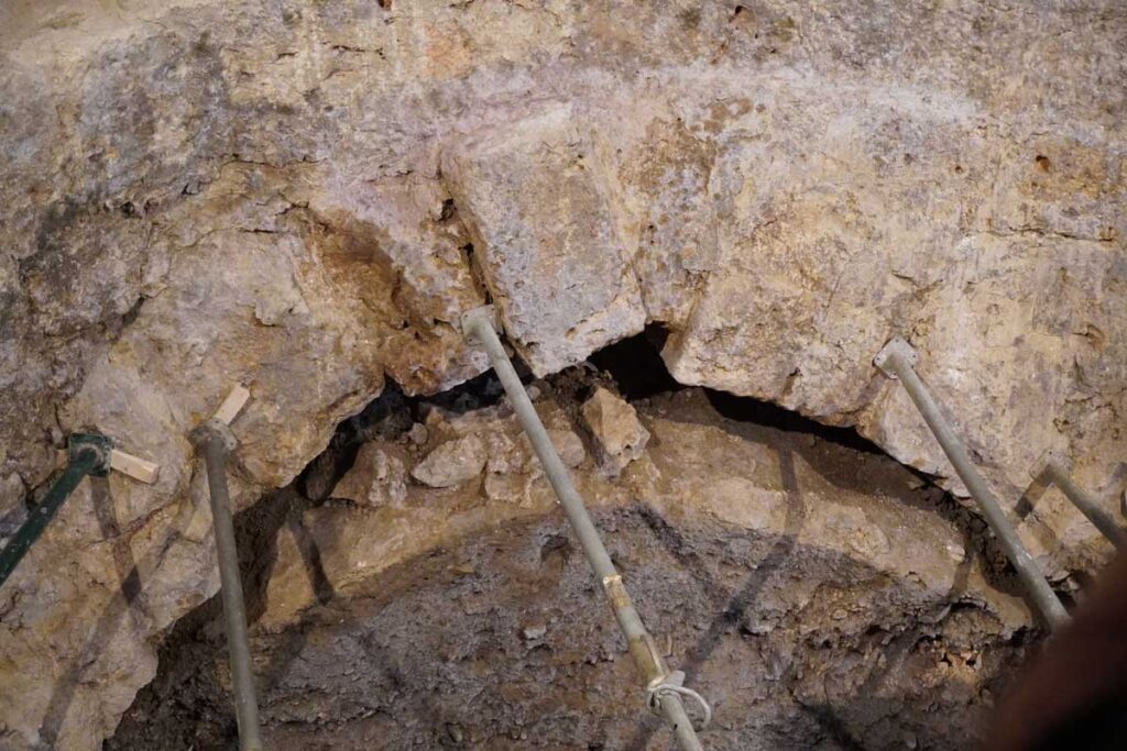 Descubierta la segunda cripta de la Catedral de Palencia - A. Acitores