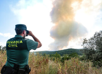 Incendios forestales en Castilla y León