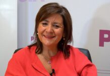 Rosa Aldea PSOE Senado Palencia