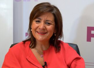 Rosa Aldea PSOE Senado Palencia