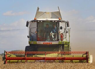 cosecha cosechadora agricultura castilla y león