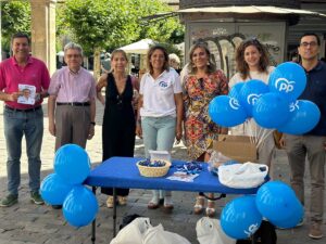 pp-palencia-campaña-15julio