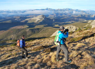 Montaña Palentina