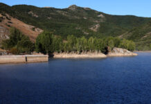 presa Ruesga