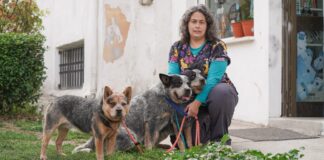 Animal Friends